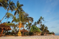 Bíle krémové pláže a tropické palmy jsou charakteristickým znamením na Zanzibaru