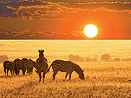 JAR – Namíbia – Botswana - Zimbabwe JAR – Namíbia – Botswana - Zimbabwe
