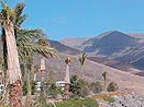Fuerteventura (exclusive) Fuerteventura (exclusive)