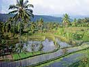 Indonézia - Bali, Lombok Indonézia - Bali, Lombok