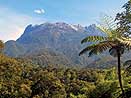 Borneo - Malajzia Borneo - Malajzia