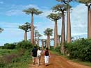 Tajomný Madagaskar Tajomný Madagaskar