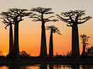 Tajomný Madagaskar Tajomný Madagaskar