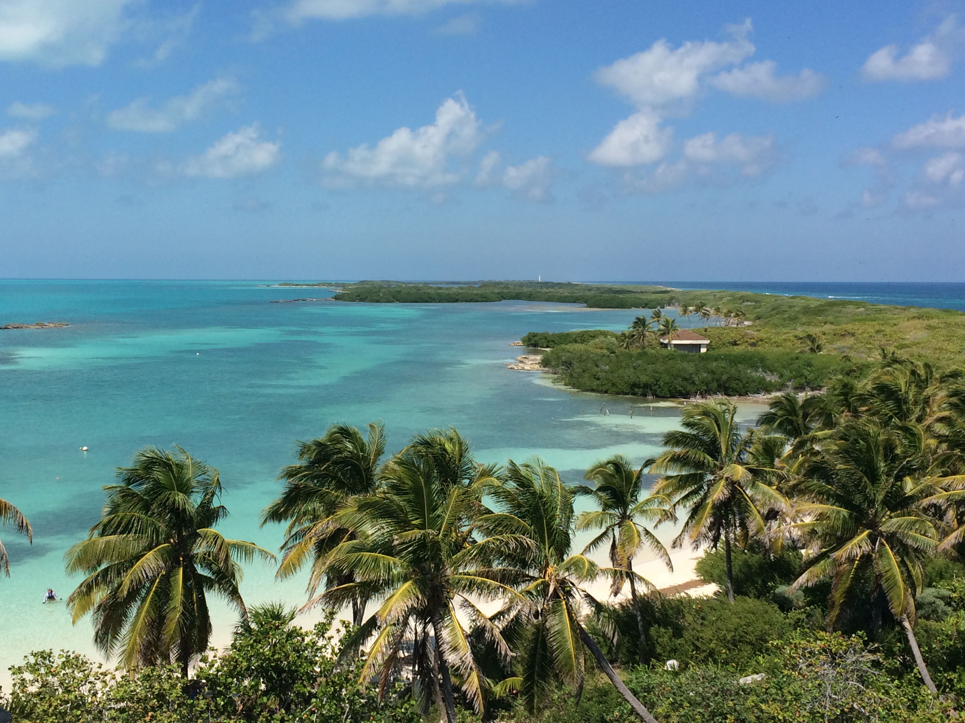 Paradise Island 