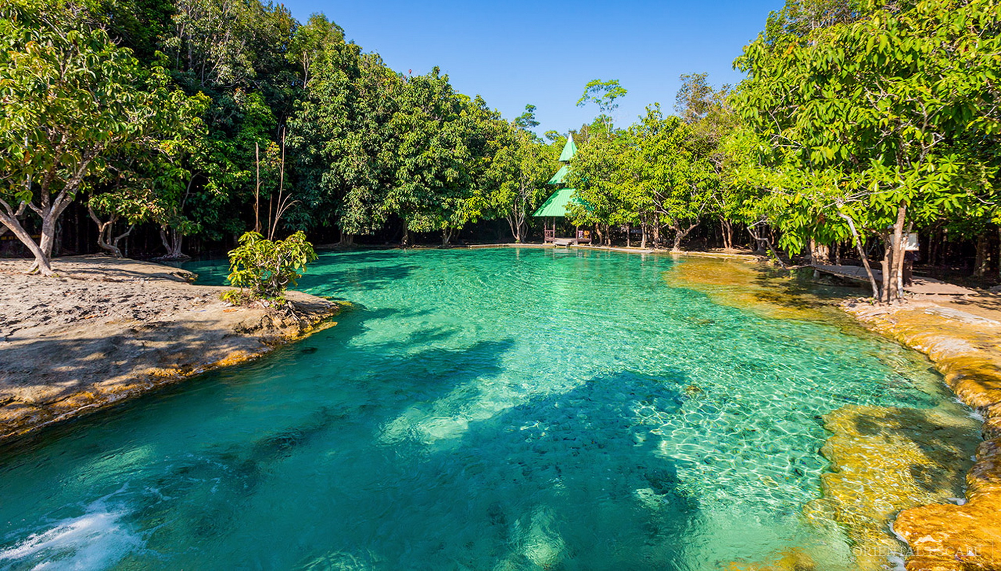 Trekking džunglou z Krabi