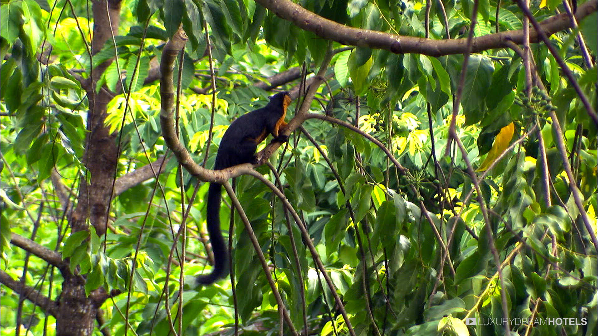 Trekking Ko Phangan