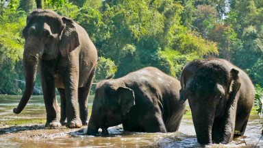 Veľký okruh severným Thajskom
