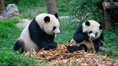 Čína a Tibet v luxusnom balení