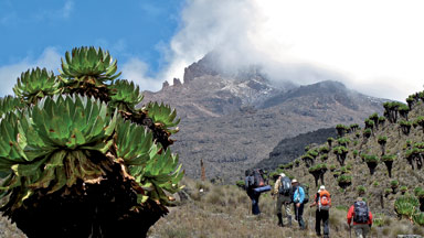 Kilimandžáro cestou Marangu_2020