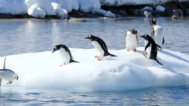 Luxusná Antarktída loďou a lietadlom - individuálne