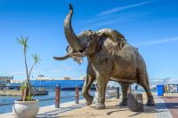Bronzový slon v Kapském městě v přístavišti