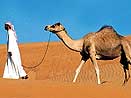 Spojené Arabské Emiráty - Dubaj Spojené Arabské Emiráty - Dubaj