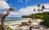 Nová Kaledonie: Z drsné trestanecké kolonie se staly ostrovy věčného jara