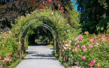 Pět nejkouzelnějších botanických zahrad: Poznejte jedovaté krásky a Monetovu zahradu