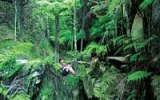 Fascinující Nový Zéland: Poznejte místní 