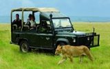Jak vypadá pravé africké safari? Nejdřív adrenalin a pak luxus místních hotelů