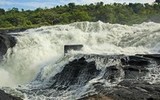 Od pramenů Nilu za vzácnými horskými gorilami – africká Uganda je přírodní skvost