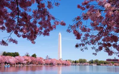 USA | Washington D.C. - Washington Monument