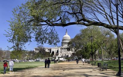 USA | Washington D.C. - Capitol