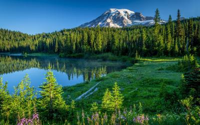 USA | Mt. Rainier NP