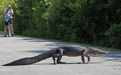 USA | Everglades NP