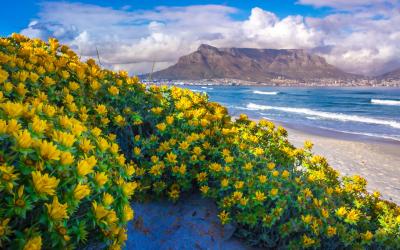 Stolová hora v plné kráse | Cape Town