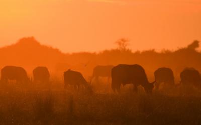 V rezervaci Karongwe | NP Kruger