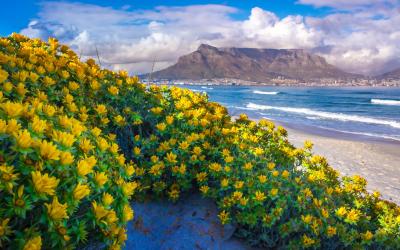 JAR | Cape Town - Stolová hora