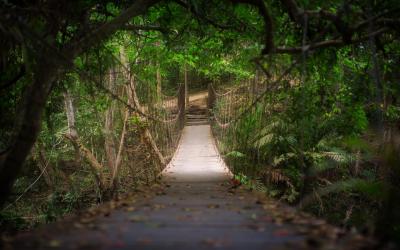 Thajsko | Khao Yai National Park