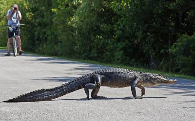 USA | Everglades NP