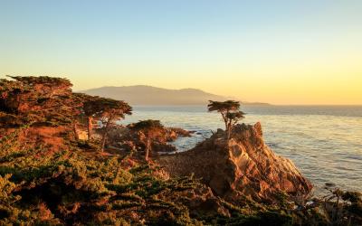 USA | 17 Mile Drive, Monterey