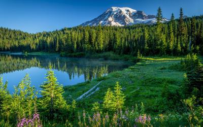 USA | Mt. Rainier NP