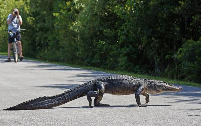 USA | Evereglades NP