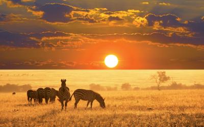 Namibie | Etosha National Park