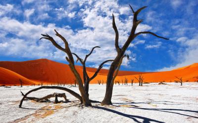 Namíbia | Sossusvlei a Deadvlei 