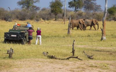 Hwange NP