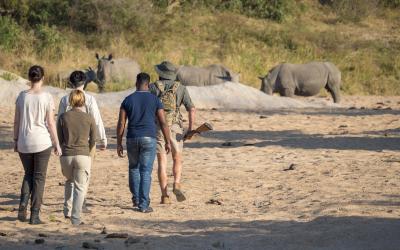 Jock Safari Lodge