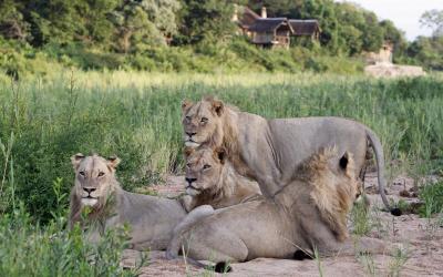 Jock Safari Lodge