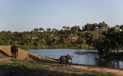 Simbavati Hilltop Lodge