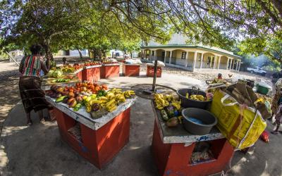 Santa Maria Market