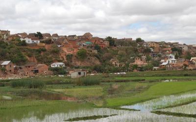 Madagaskar - rýžová pole | Madagaskar - rýžová pole