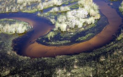 Botswana | Delta Okavanga