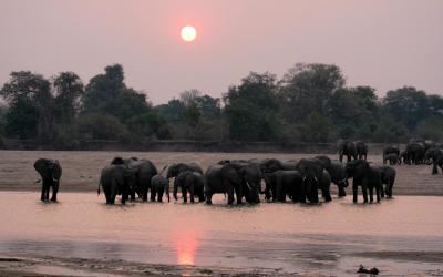 Zambia | Zambia