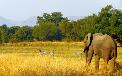 Zambia | Zambia