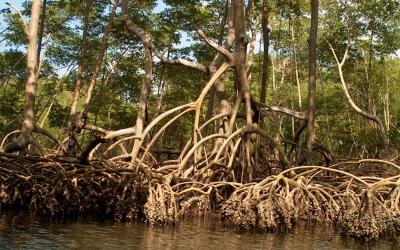 Los Haitises | Los Haitises