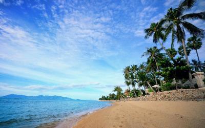 The Beach (1)