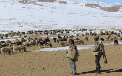 Tibet | Tibet