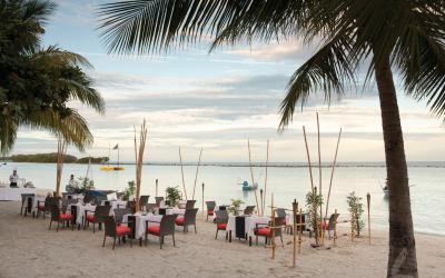 Beach Dinner