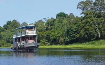 Amazonie | Brazílie