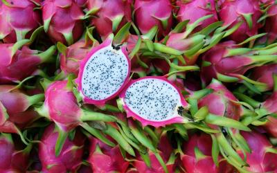 dragon fruits